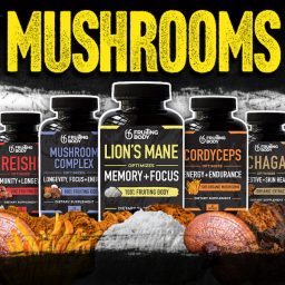 Our Mushrooms Menu